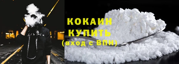 ГАЛЛЮЦИНОГЕННЫЕ ГРИБЫ Магас