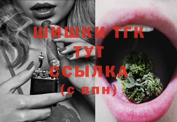 ГАЛЛЮЦИНОГЕННЫЕ ГРИБЫ Магас
