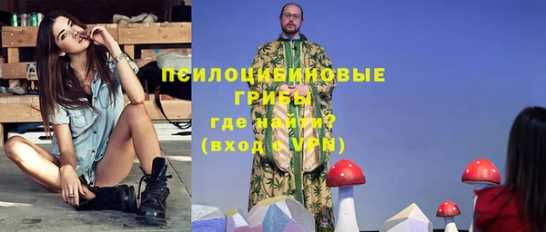 ГАЛЛЮЦИНОГЕННЫЕ ГРИБЫ Магас